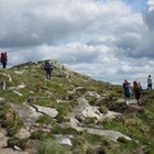 Picture for song 'M.O.S.Y' by artist 'Bass Extractor'