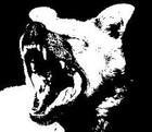 Picture for song 'Off the Leash' by artist 'Differently Thinkin' Entertainment'