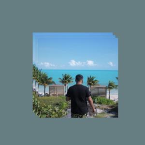 Picture for song 'Nav Type Beat 2022 - Palm Tree (Buy 1 Get 1 Free)' by artist 'beats by NTZ'