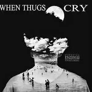 Picture for song 'Thugs Cry/sample instrumental' by artist 'BRILLIANT BEATZ'
