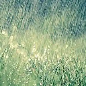 Picture for song '8 Straight Days of Ash in the Sky' by artist 'Cam7Song'