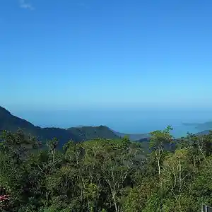 Picture for song 'Green Hill' by artist 'CANDIES'