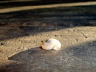 Picture for song 'memorYstacking' by artist 'CHilD PsYchOloGy'