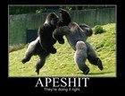 Picture for song 'Ape sh** Produced By Cipha Da Lyrical.mp3' by artist 'Cipha On The Beat'