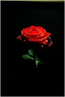 Picture for song 'Time 2 Rest' by artist 'Cra-z Boi Productions'