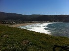 Picture for song 'california' by artist 'Dankedout Productions (SAVAGE TDK)'
