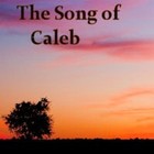 Picture for song 'The Song of Caleb' by artist 'D E Farmer'