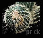 Picture for song 'PRICK' by artist 'Dennis Hitchcox'