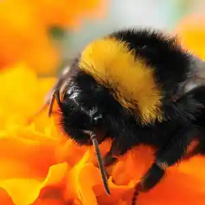 Picture for song 'B3' by artist 'Desibell And The Raiders Of The Lost Quark'