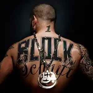 Song picture