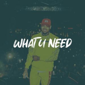 Picture for song 'Chris Brown x Drake Type Beat - "WHAT U NEED"' by artist 'ErieBeats'