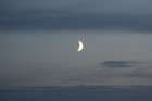 Picture for song 'In the moonlight' by artist 'Fading Sunlight'