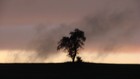 Picture for song 'NOT ALONE' by artist 'mAd goNe maD'
