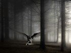 Picture for song '"SOLICE"' by artist 'Gavin Baker'