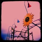 Picture for song 'Funfair' by artist 'GrandMoss'