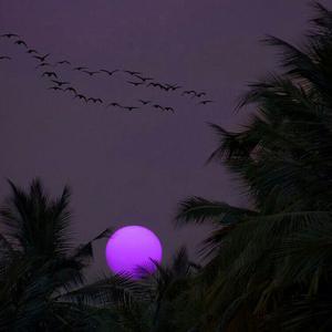 Picture for song 'Pink Moon - Lil uzi vert type beat - 153' by artist 'prodbyindus'