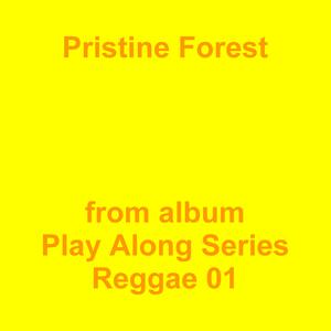 Picture for song 'Pristine Forest' by artist 'Jean-Marc Lozach'