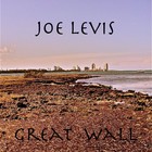 Picture for song 'Good Lovin' by artist 'Joe Levis'