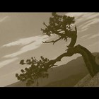 Picture for song 'Lee Freeman_When The Rain Comes.mp3' by artist 'Lee Freeman'