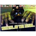 Picture for song 'HOOD LIFE.mp3' by artist 'LUEDUBB SLAPLABB'