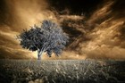 Picture for song 'the flame that never dies' by artist 'missing furniture'