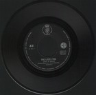 Picture for song 'SHE LOVES YOU- MRBeats' by artist 'MoneyrollBeats'