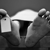 Picture for song 'Corpse Of The Dead (Rap Beat)' by artist 'Mozart Jones Productions (Mozarts Beats)'