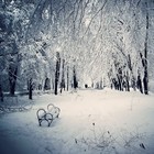Picture for song 'Winter Love' by artist 'Mr Marx Productions'
