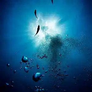 Picture for song 'Deep Down' by artist 'Nech Beats'