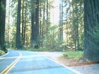 Picture for song 'UNIVERSAL HIGHWAY (Detour)' by artist 'New Jazz Movement'