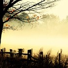 Picture for song 'October Dusk' by artist 'Nightminstrel'