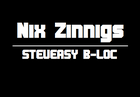 Picture for song 'Nix Zinnigs - Ik ben zo high' by artist 'Nix Zinnigs'