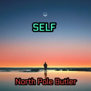 Picture for song 'SELF' by artist 'North Pole Butler'