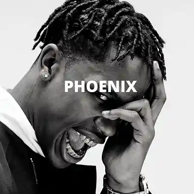 Picture for song 'Phoenix (Buy 1 Get 10 Free)' by artist 'Kontraa'