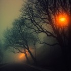 Picture for song 'No One to Trust' by artist 'RADIO-LAB'