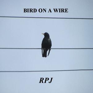 Picture for song 'From Far Away - RPJ' by artist 'Rob Smith'