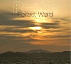 Picture for song 'Perfect World' by artist 'Rooke'