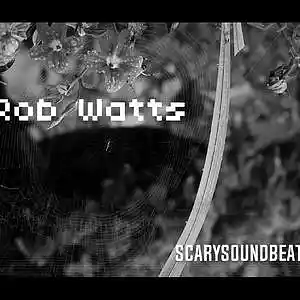 Picture for song 'Rob Watts' by artist 'ScarySoundBeatz'