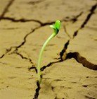 Picture for song 'new beginning2012.mp3' by artist 'S dot Reap Productions'