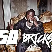 Picture for song '*50 Bricks* Dirty South HIT (Free DL)' by artist 'Sean Bentley'