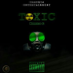 Picture for song 'NARIEO-G-TOXIC-' by artist 'Shabria entertainment record label'