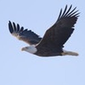 Picture for song 'Come Follow Me (Minor Key Version)' by artist 'Songs for the Soul'