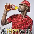 Picture for song 'We Trippy Mane' by artist 'Starky'