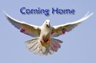Picture for song 'Coming Home' by artist 'Stringz(US)'