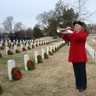 Picture for song 'INSTRUMENTAL_A_River_of_Freedom_without_TAPS' by artist 'Susan D Wiseman'