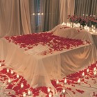 Picture for song 'Bed of Roses ***NEW*** T-34 Productions' by artist 'T-34 Productions'