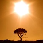 Picture for song 'My Sunshine ***NEW*** T-34 Producions' by artist 'T-34 Productions'