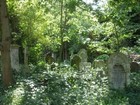 Picture for song 'Another Tombstone in London Town (Original)' by artist 'TexScratch'