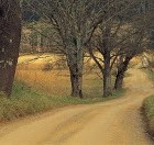 Picture for song 'Long Way from Home.mp3' by artist 'UNCLE'
