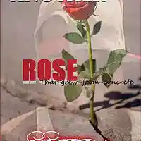 Picture for song 'money' by artist 'UNFORTUNITZ'